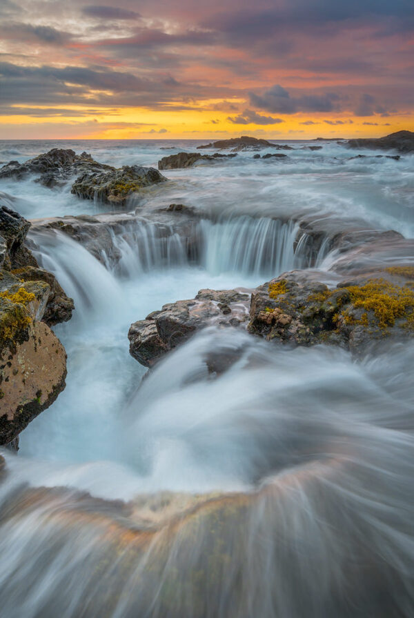 Douglas Parks - Drains of Hawaii