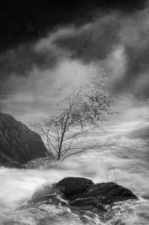 Larry Angier - Elemental Mokelumne River