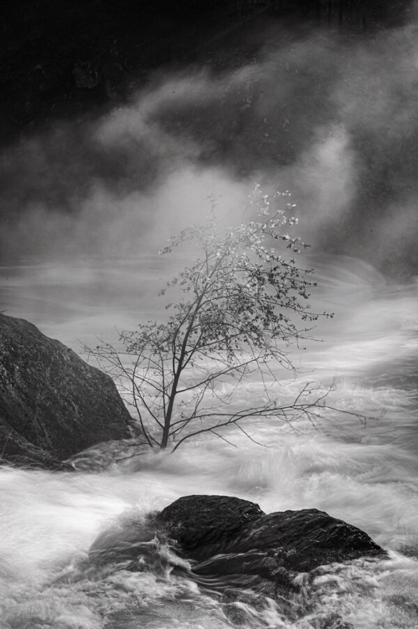 Larry Angier - Elemental Mokelumne River