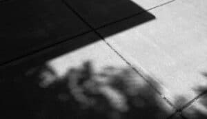 Nicole Risch – Dramatic Shadow