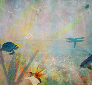 Robin Yeager - Funeral for a Dragonfly