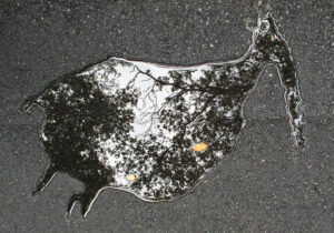 Toni Voelker - Animalic Puddle