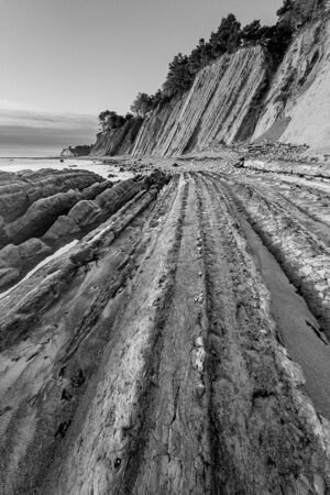 Lynn Takata – The Seafloor Recycled