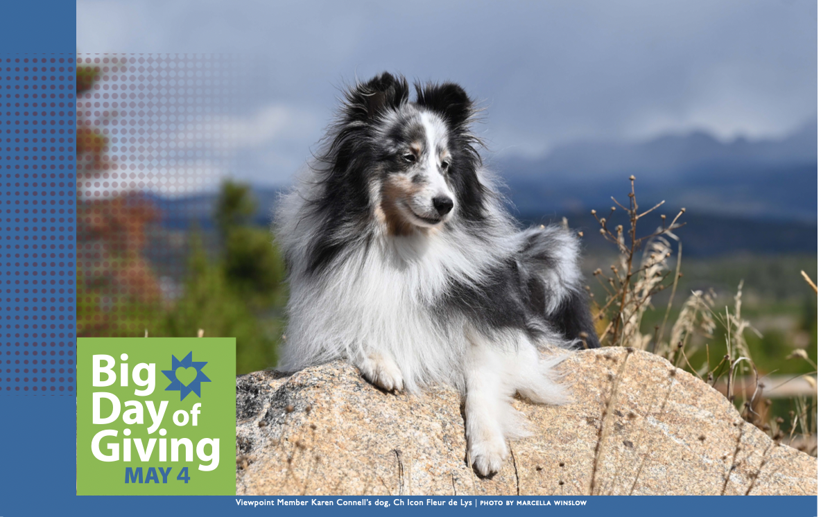 BDOG header for VP website – Viewpoint Photographic Art Center