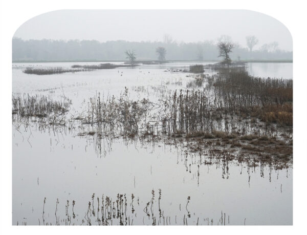 Consumnes Preserve Foggy Morning