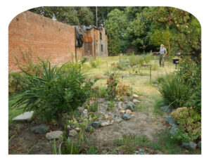 Isleton Garden on Main