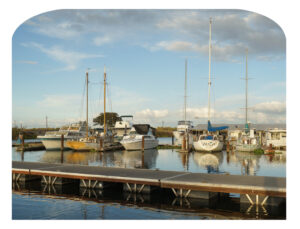 Ladd’s Marina Stocktoon