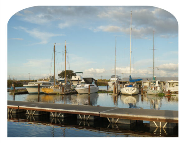 Ladd’s Marina Stocktoon