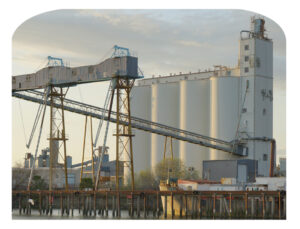 Rice Elevator West Sacramento