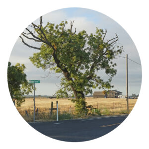 Willow Point Road