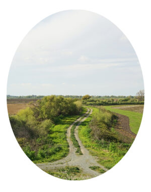 Winding Path