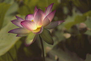 Inner Glow