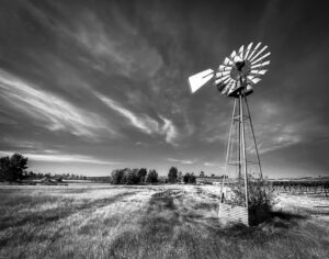 Meadow and Windmill