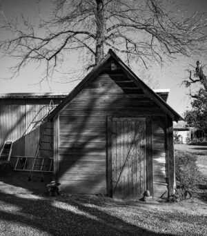 Shadows on Leaning Shed