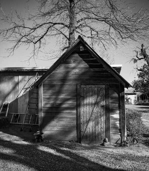 Shadows on Leaning Shed