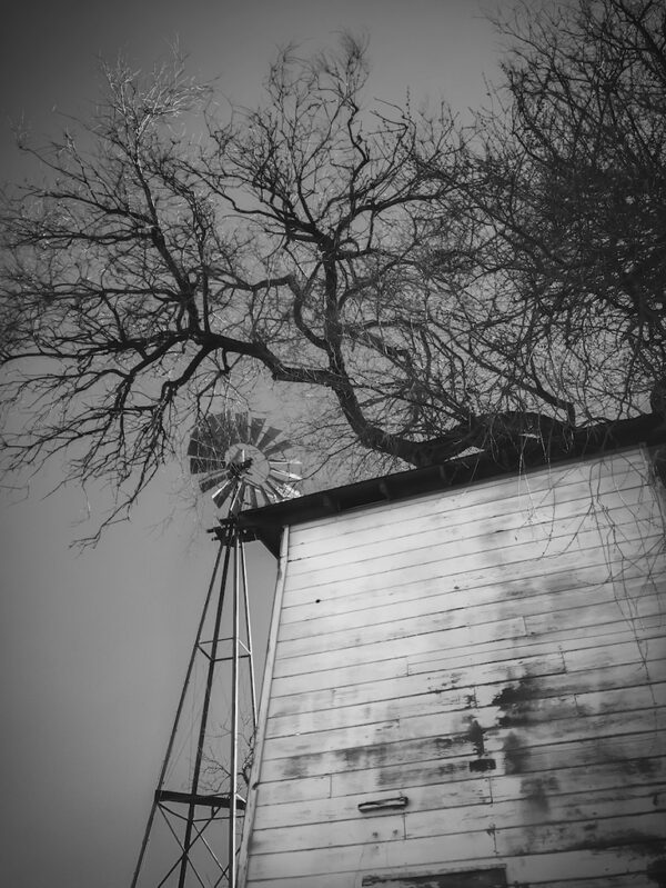 Tankhouse with Tree and Windmill