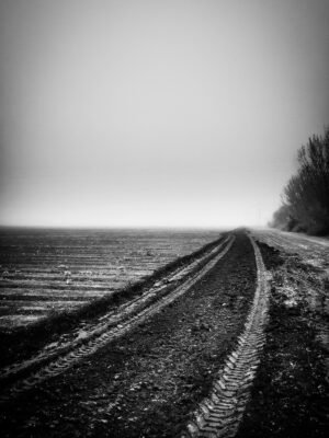 Tracks in Fog