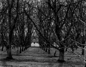 House in Orchard, Stockton Area, CA 2009