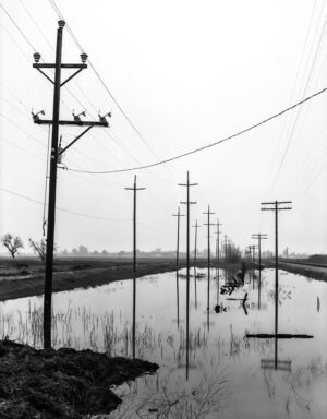 Overcast Perspective, Colusa, Sacramento Valley, CA 1980s