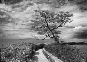 Robert Bonar – Land’s End