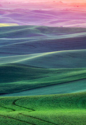 Cecilia Clark – Rainbow Landscape