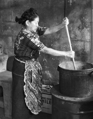 Guatemalan Dyer