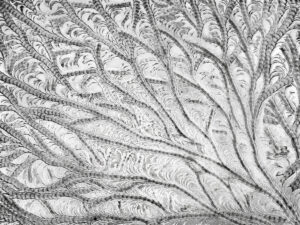 Joy Nieslony – Ice Study #8