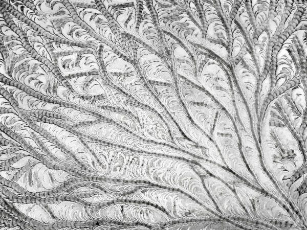 Joy Nieslony – Ice Study #8