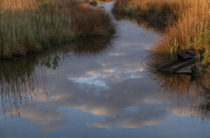David Robertson - Reflections in the Marsh