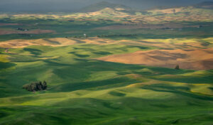 Rachel Rosenthal – Palouse Sunset