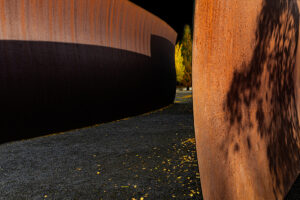 Sharon Saltzman – Richard Serra Wake