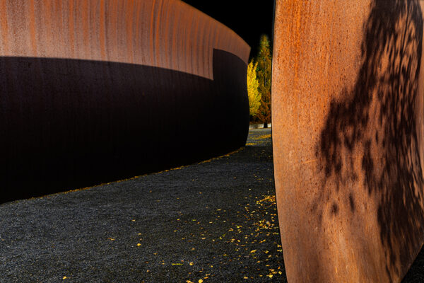 Sharon Saltzman – Richard Serra Wake