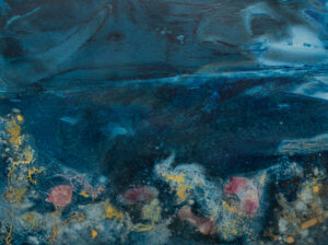 Debra Small – Moonlit Tidepools