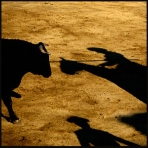 Gregory Stringfield – A Bull’s Dilemma