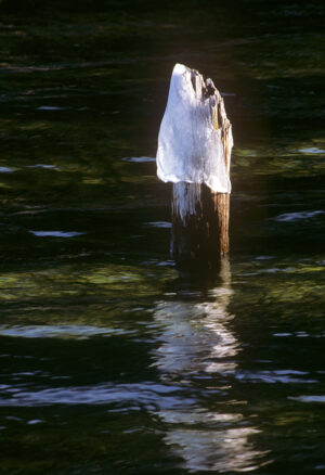 James Swartzlander - Cold, In Reflection, Lake Tahoe, California