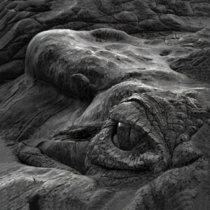 David Wong – The Eye