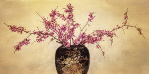 Judy Yemma – Redbud Blossoms