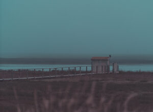Sabina Zildzic – Blue Morning