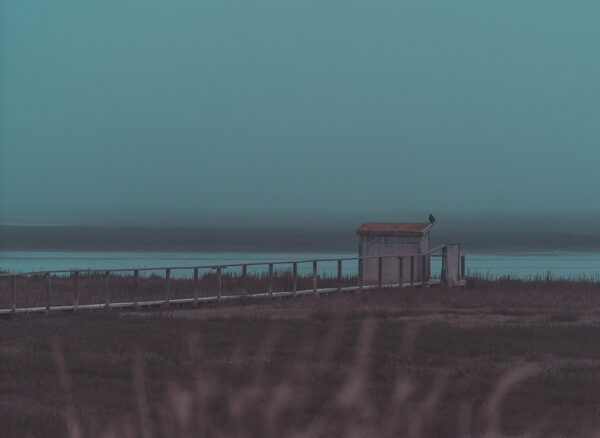 Sabina Zildzic – Blue Morning
