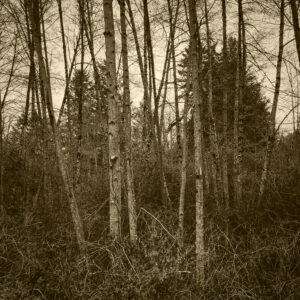 Highway 80 Meditative Landscape #1