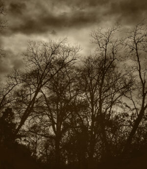 Highway 80 Meditative Landscape #3