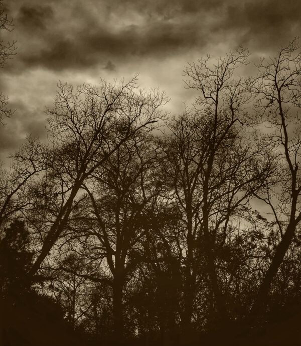 Highway 80 Meditative Landscape #3