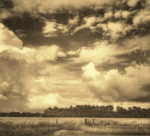 Highway 80 Meditative Landscape #11
