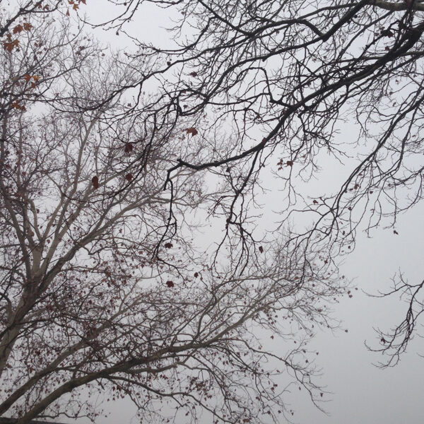 Meditation on Communication