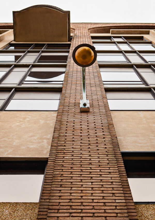 Looking Up