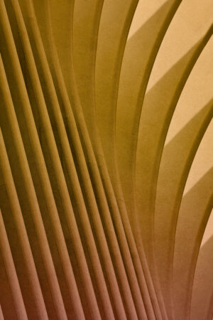 Occulus Transformed #2