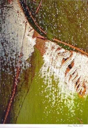 Anne Miller , Green Botanical #8