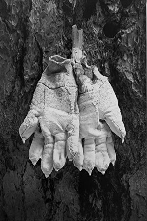 Charles Farmer , White Gloves