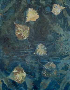 Debra Small , Frozen Winter Leaves