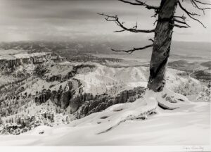 Joan Gentry , Bryce Overlook